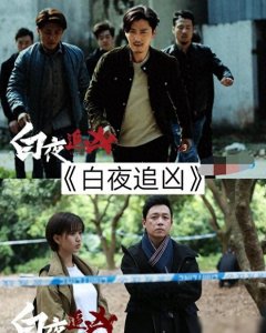 五部高分好看的警匪片,《白夜追凶》当之无愧