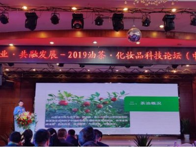 ​漫山遍野的油茶熟了，但除了喝还有这些大用处