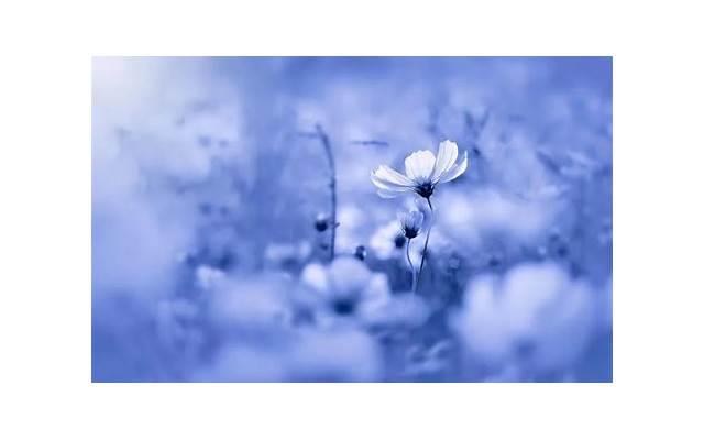 手麻木是什么原因引起的?女性必看的健康小知识 手麻木是什么原因引起的?女性必看的健康小知识