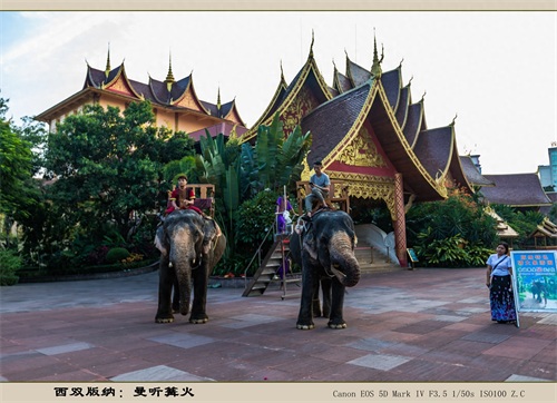 西双版纳：曼听篝火（旅游摄影）