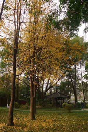 全国唯一地上皇陵——成都永陵博物馆