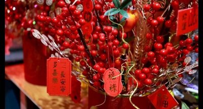 东营市东营区:迎新春贺新年 仿真花“热”起来