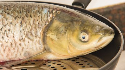 老厨师教你做,松鼠鱼的家常做法,简单几步就能完成新手一次成功