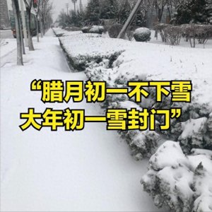 老话“腊月初一不下雪,大年初一雪封门”,今年过年有啥征兆?