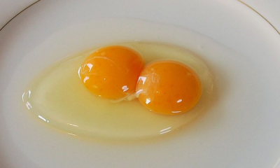 受精蛋能吃,受精的鸡蛋还能吃吗