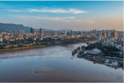 ​五谷原浆饮料(五谷原浆贵宾酒)