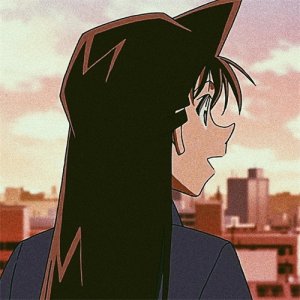 动漫头像——名侦探柯南——毛利兰