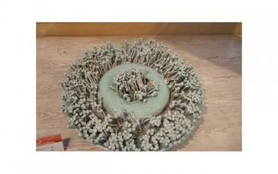 求教,老师是什么?从教育到情感,探寻老师的真正含义