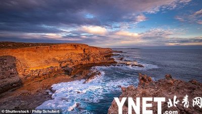 ​这个鲨鱼湾位于澳洲西部海岸 数百只鲨鱼悠闲游动