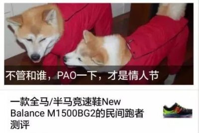 ​情人节过完了，生活应该继续了