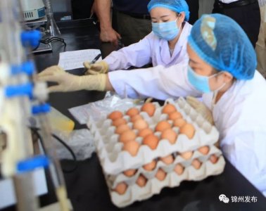 真牛!锦州这个“土特产”成为全国此类“唯一国家级样板”!