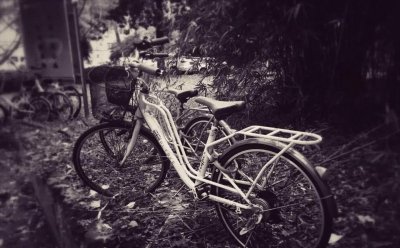 ​游南京最美校园-随园小记