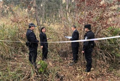 ​同时同地滥伐林木，三人竟都 “精准” 避开刑事立案标准？