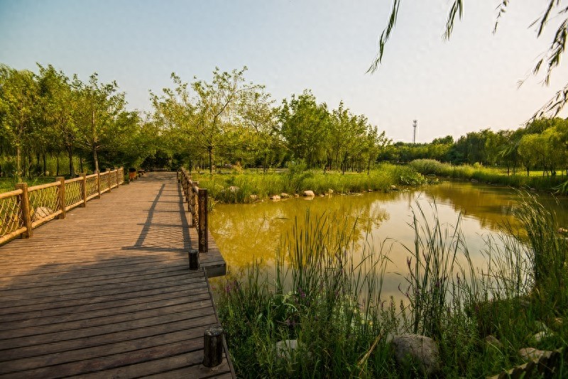 郑州绿博园，国家AAAA景区，荟萃园林之精华，大饱眼福赏美景