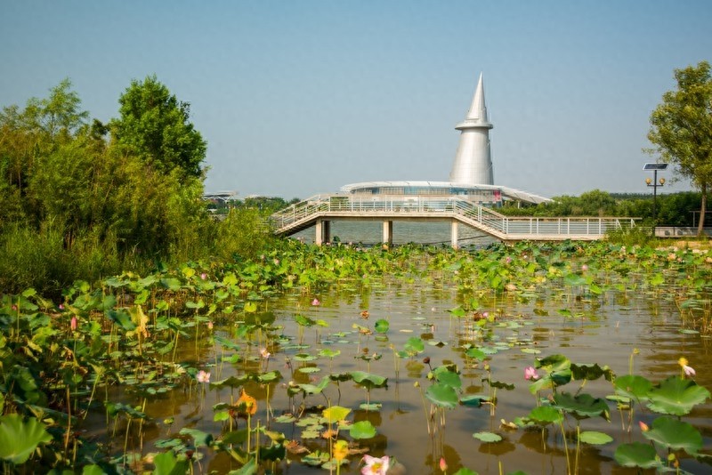 郑州绿博园，国家AAAA景区，荟萃园林之精华，大饱眼福赏美景
