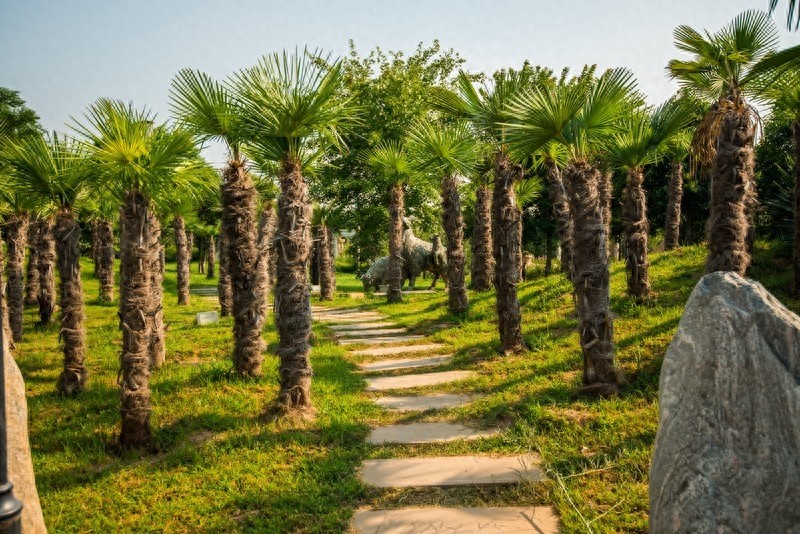 郑州绿博园，国家AAAA景区，荟萃园林之精华，大饱眼福赏美景