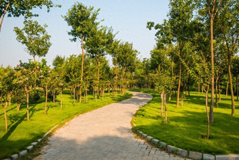 郑州绿博园，国家AAAA景区，荟萃园林之精华，大饱眼福赏美景