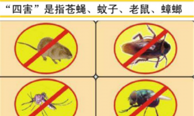 四害指的是什么,四害现在指的是哪四种动物