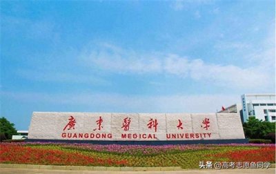 ​45所“二本医科大学”排名