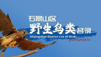 ​242种！石景山区发布野生鸟类名录