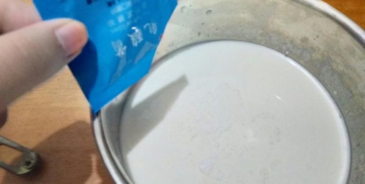 自己做酸奶用的菌叫什么名字