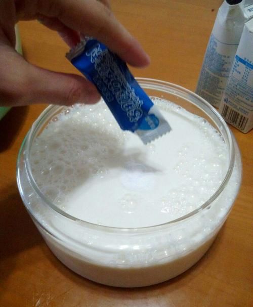 做酸奶的菌粉哪种好十大品牌