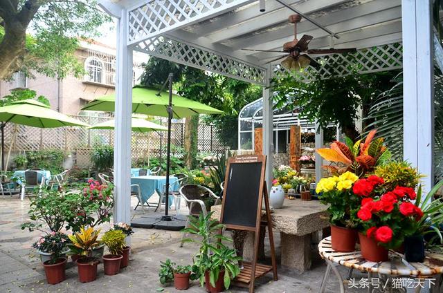 鼓浪屿住宿推荐便宜(鼓浪屿旅馆选哪家)(7)