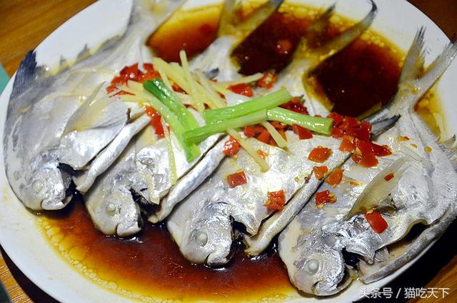 鼓浪屿住宿推荐便宜(鼓浪屿旅馆选哪家)(32)