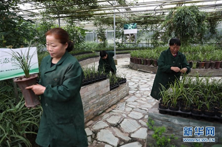 北川新县城：生态羌城 幸福新生