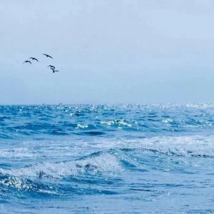 ​有哪些很高级的文学梗？如何隐晦地表达爱意？