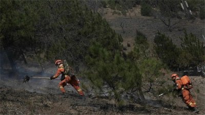 ​雅江山火肆虐五日！海拔2000米紧急扑救，村民松茸生计堪忧